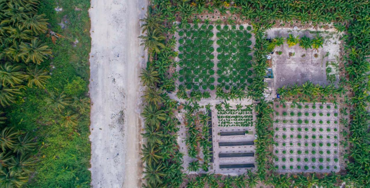 Sunview Residence Kaashidhoo Exterior photo